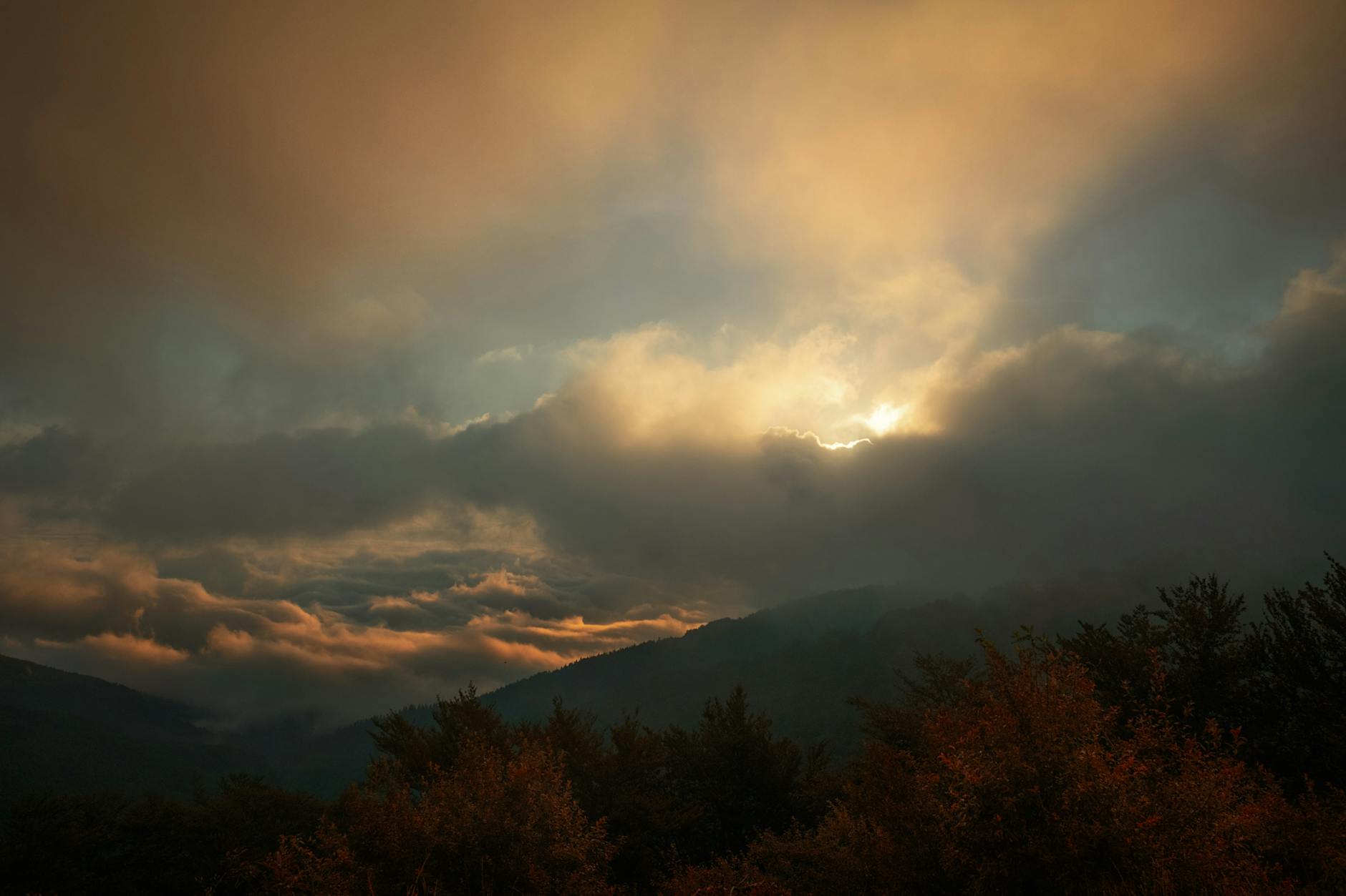4000 долларов — за каждого четвёртого новорождённого: благотворительная программа Самвела Карапетяна в Арцахе